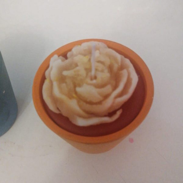 Portakal Kokulu Mum